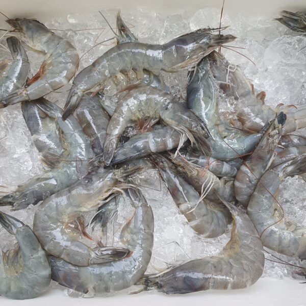 Tôm lột loại nhất (loại vừa mới lột, hàng hiếm) - Ảnh 5