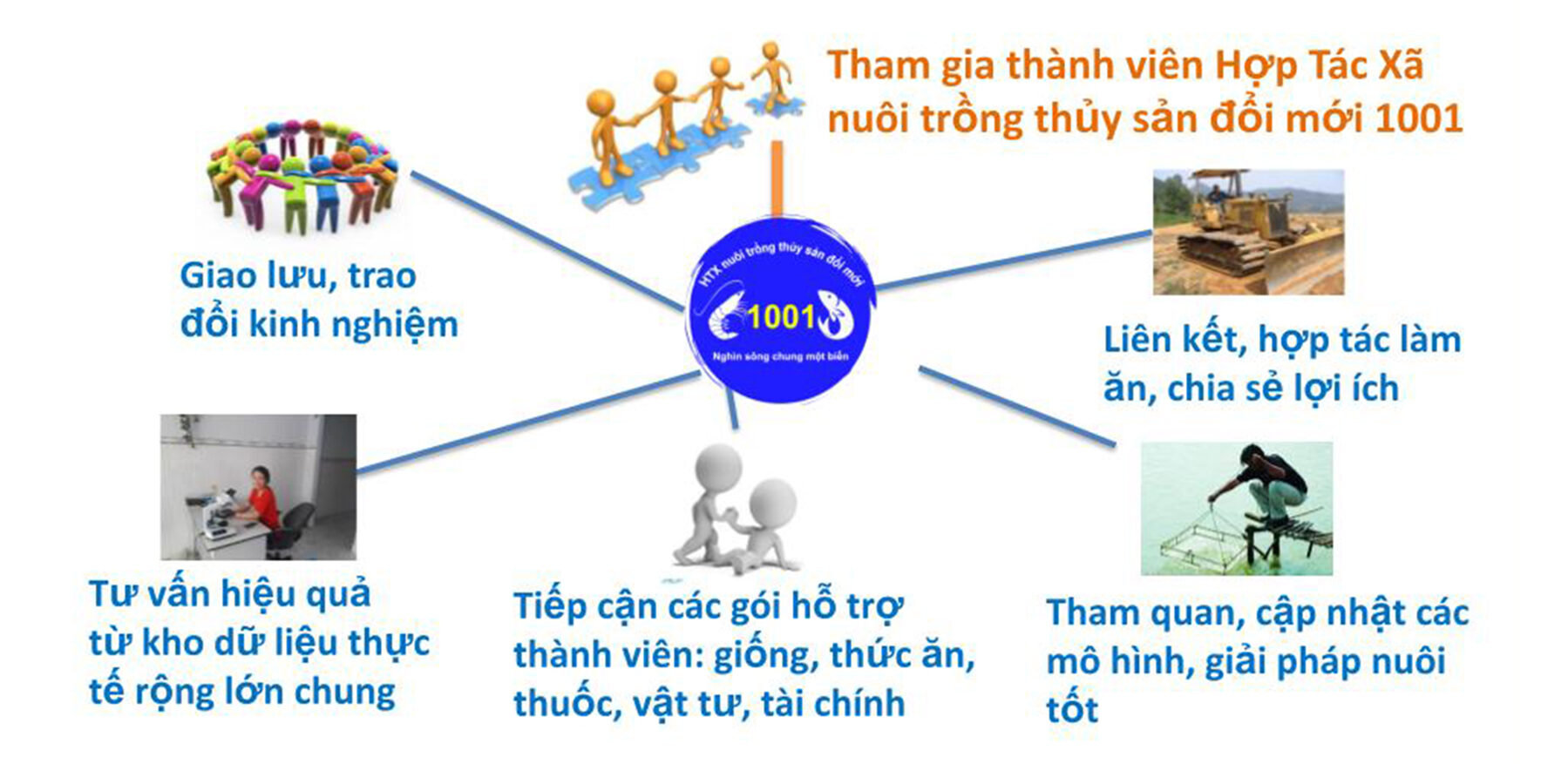 sứ mệnh hợp tác xã nttt 1001