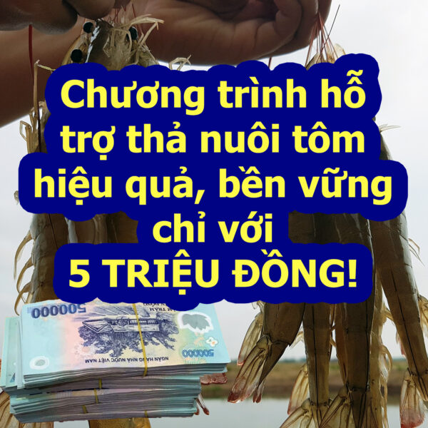 Chương trình "chỉ 5 triệu nuôi được 1 ao tôm lợi nhuận cao"