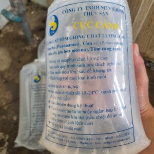 Tôm giống chất lượng cao Cực Cảnh