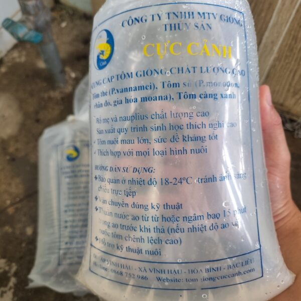 Tôm giống chất lượng cao Cực Cảnh